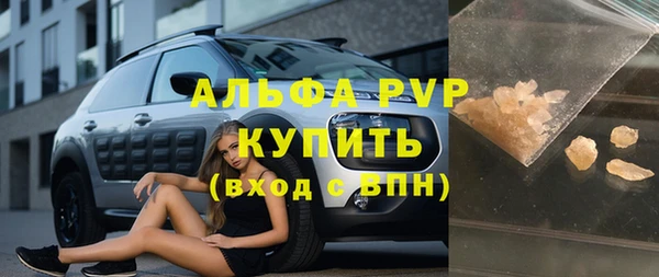 ПСИЛОЦИБИНОВЫЕ ГРИБЫ Богданович