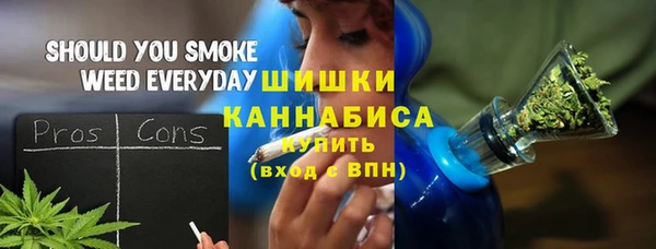 ПСИЛОЦИБИНОВЫЕ ГРИБЫ Богданович