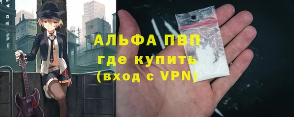 ПСИЛОЦИБИНОВЫЕ ГРИБЫ Богданович