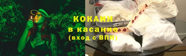 ПСИЛОЦИБИНОВЫЕ ГРИБЫ Богданович