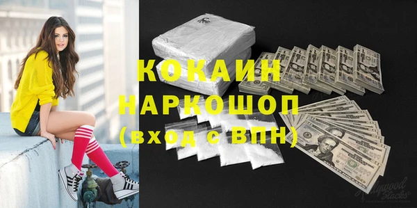 ПСИЛОЦИБИНОВЫЕ ГРИБЫ Богданович