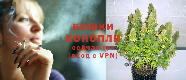 ПСИЛОЦИБИНОВЫЕ ГРИБЫ Богданович