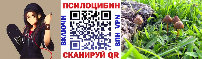 Галлюциногенные грибы прущие грибы  Белоярский 